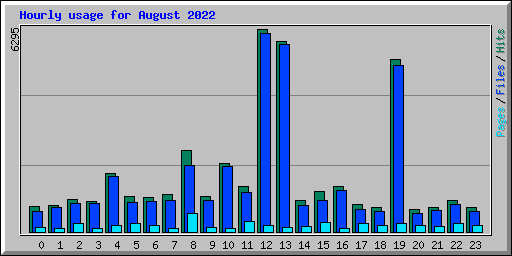 Hourly usage for August 2022