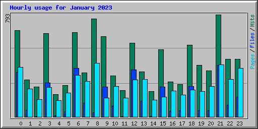 Hourly usage for January 2023